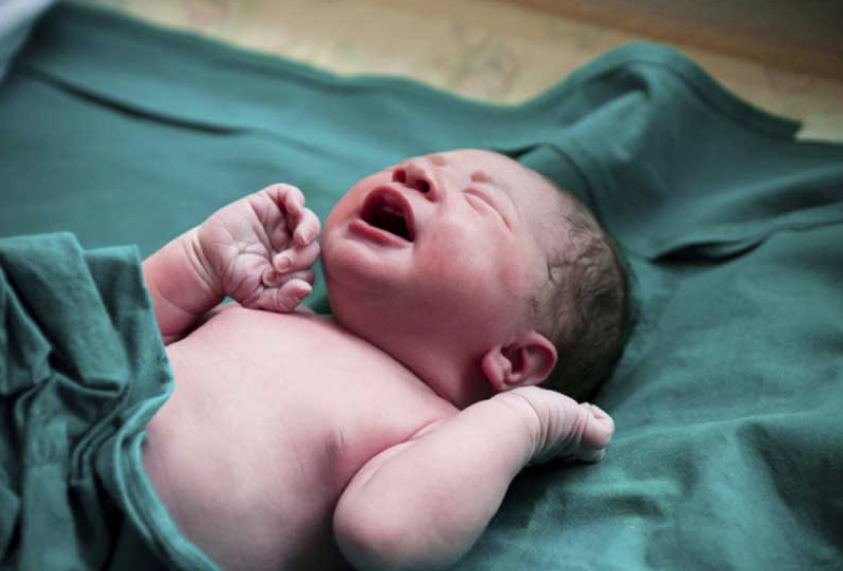 Lee más sobre el artículo 39mil 215 bebés nacerán en Querétaro durante el 2019