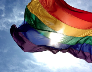 Lee más sobre el artículo ACLARA EL VATICANO QUE NO PUEDE BENDECIR LAS UNIONES ENTRE PAREJAS HOMOSEXUALES
