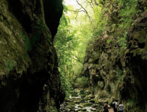 Lee más sobre el artículo DESCUBRE EL MÁGICO PARAJE DEL PUENTE DE DIOS EN QUERÉTARO