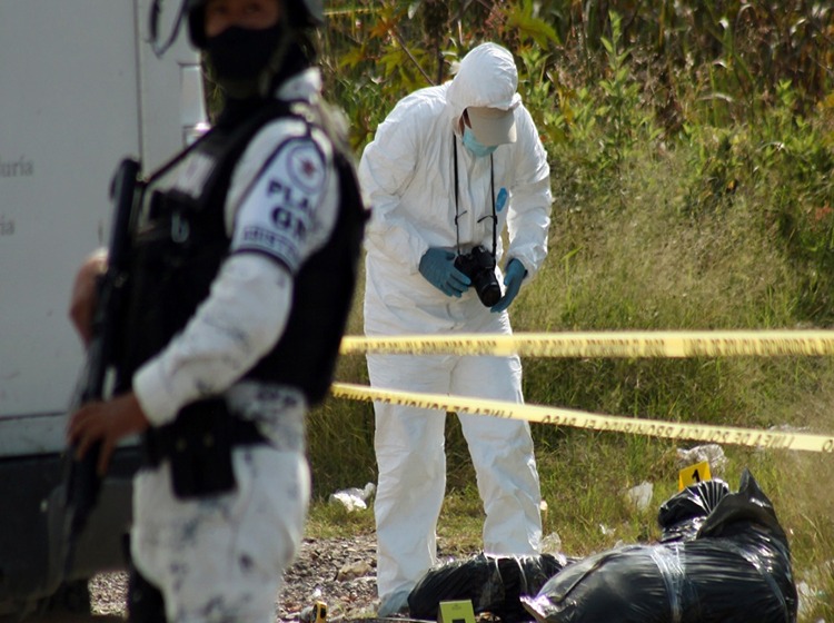 Lee más sobre el artículo Cierra enero con un promedio de 73 homicidios dolosos al día