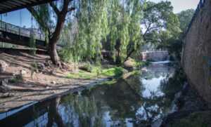 Lee más sobre el artículo El Marqués refuerza colaboración con la CEA para saneamiento del río