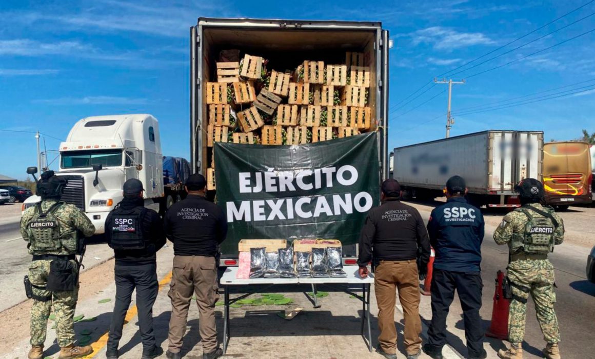 Lee más sobre el artículo Cae en Sonora conductor con 32 kilos de fentanilo en cargamento de nopal
