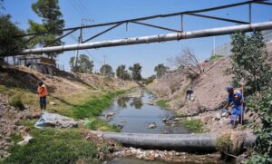 Lee más sobre el artículo Fumigan el Río Querétaro ante presencia de mosquitos