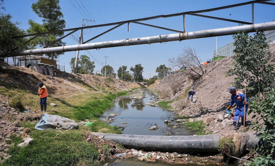 Lee más sobre el artículo Fumigan el Río Querétaro ante presencia de mosquitos