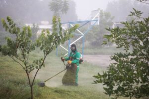 Lee más sobre el artículo Supervisa Roberto Cabrera trabajos de mejora de imagen urbana en colonia Los Olivos