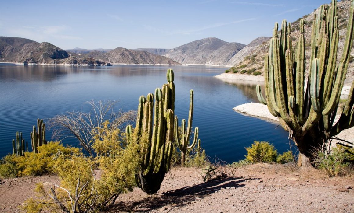 Lee más sobre el artículo Alistan nuevo desfogue de la presa Zimapán