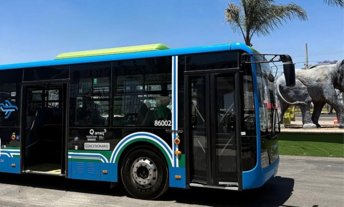 Lee más sobre el artículo Visitar el Zoológico Wamerú ahora es más fácil con QroBús