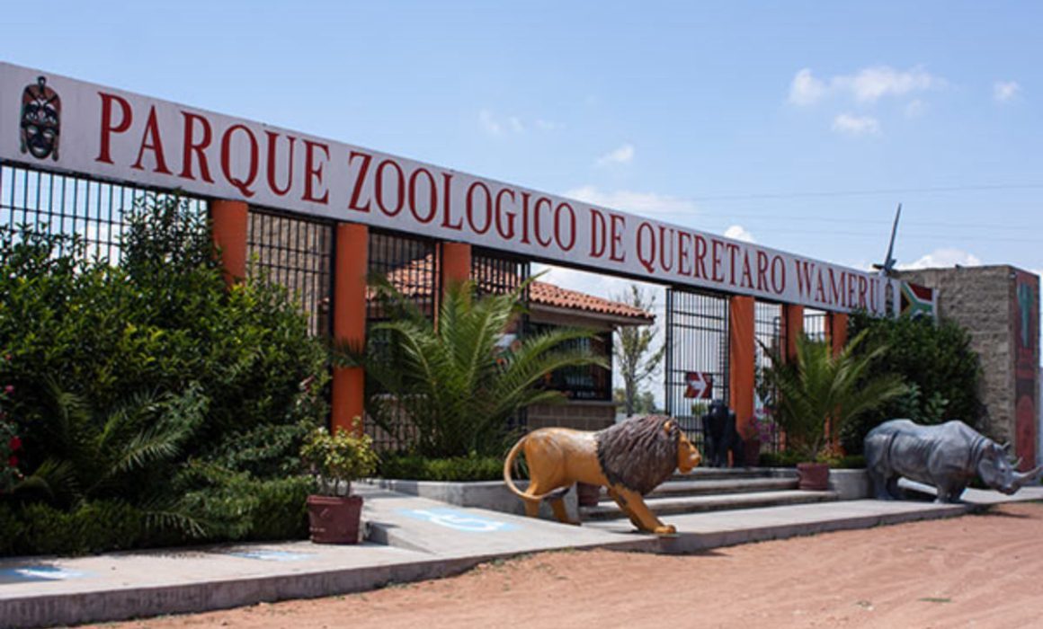 Lee más sobre el artículo Denuncian supuesto maltrato animal en el Wameru