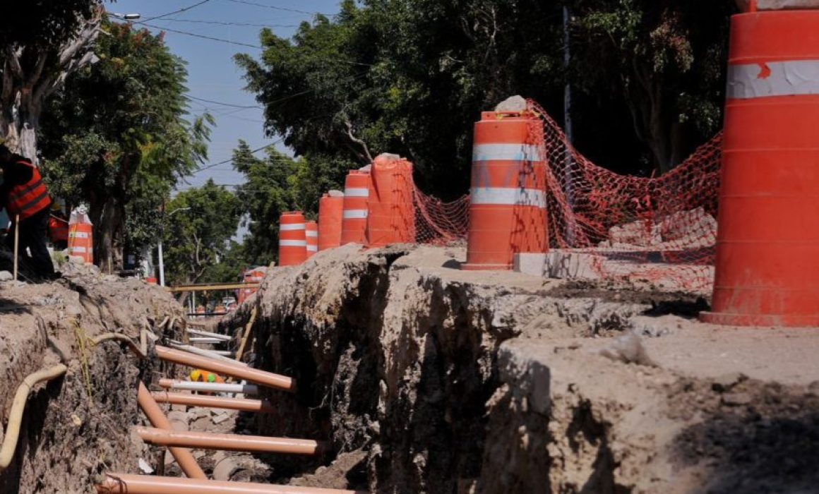 Lee más sobre el artículo Reforestarán con 215 árboles obra integral en San Pedrito Peñuelas