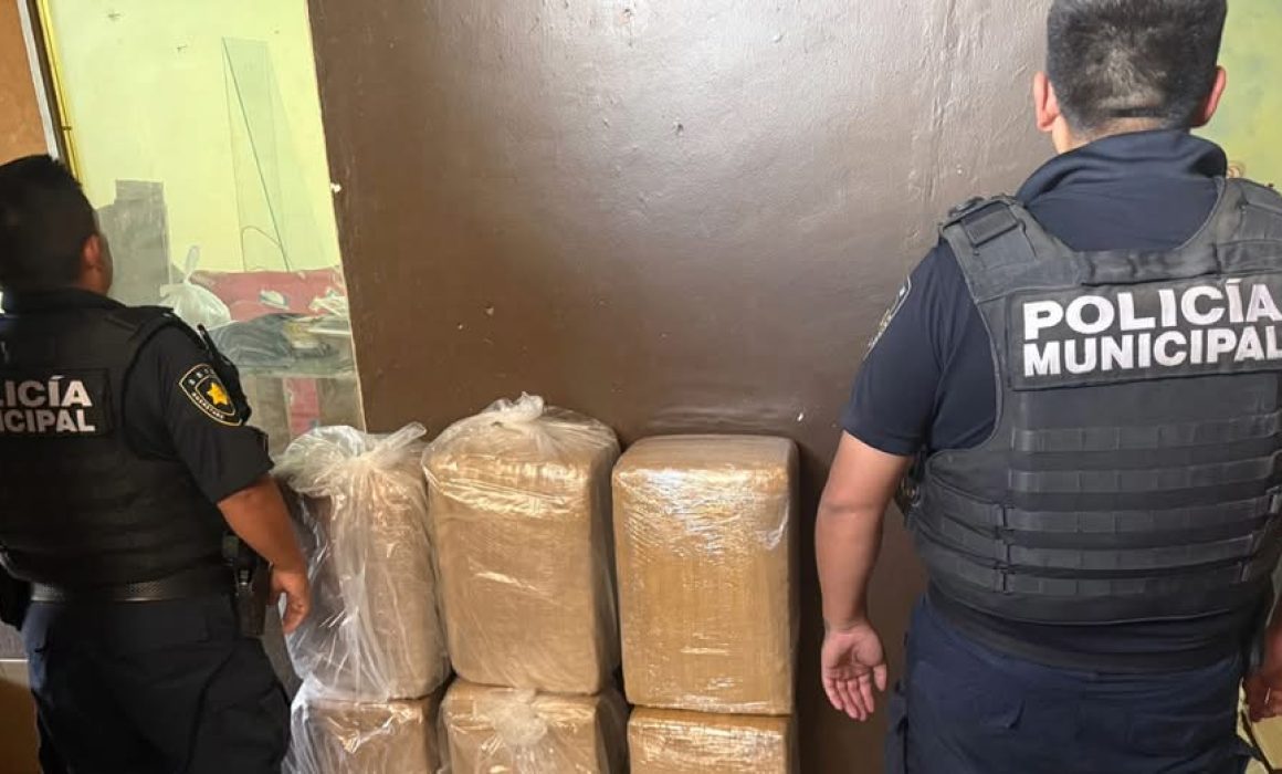 Lee más sobre el artículo Aseguran más de 60 kilos de marihuana en Lomas de Casablanca