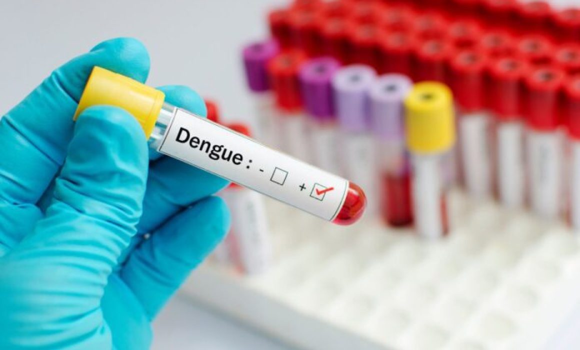 Lee más sobre el artículo Suman 100 contagios de dengue en Querétaro