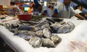 Lee más sobre el artículo Inicia Operativo de Cuaresma en Querétaro para prevenir enfermedades.