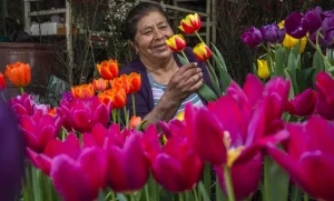 Lee más sobre el artículo Derrama económica por el 14 de febrero alcanzó los 725 mdp