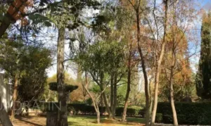 Lee más sobre el artículo Van 25 opiniones en consulta para decreto de Los Alcanfores