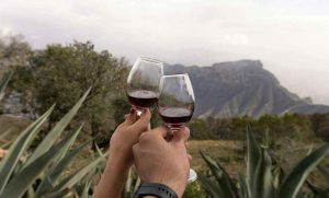 Lee más sobre el artículo Inició regulación de espacios que venden bebidas alcohólicas en la Sierra