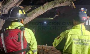 Lee más sobre el artículo Dos personas cayeron al cárcamo de Puerta Real