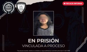 Lee más sobre el artículo Detienen presunta fardera por robo en una bodega comercial