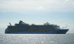 Lee más sobre el artículo Advierte OMS sobre riesgo de contagio humano por hantavirus en crucero