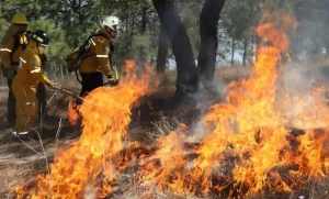 Lee más sobre el artículo Disminuyen incendios en Querétaro pese a persistencia de altas temperaturas