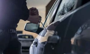 Lee más sobre el artículo Recuperan 13 vehículos con reporte de robo en Querétaro.