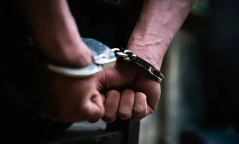 Detenido por robo a comercio en San Pedro Martir