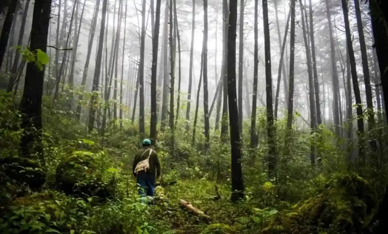 Turismo de naturaleza gana terreno en Querétaro
