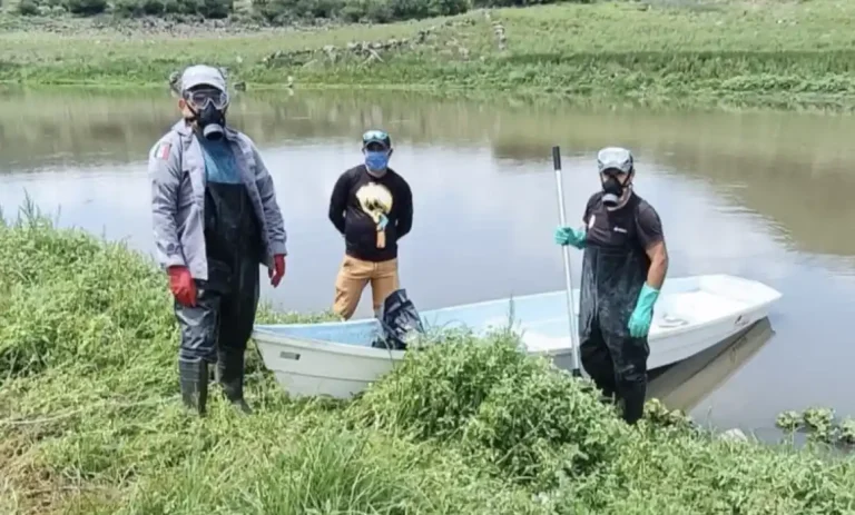 Concluye retiro de peces muertos en la presa El Batán