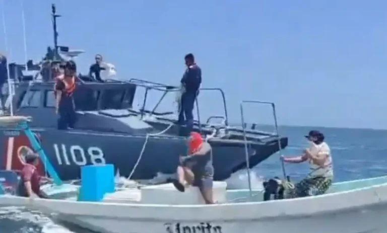 Caen 3 con 250 kg de pepino de mar, especies en veda y pesca prohibida