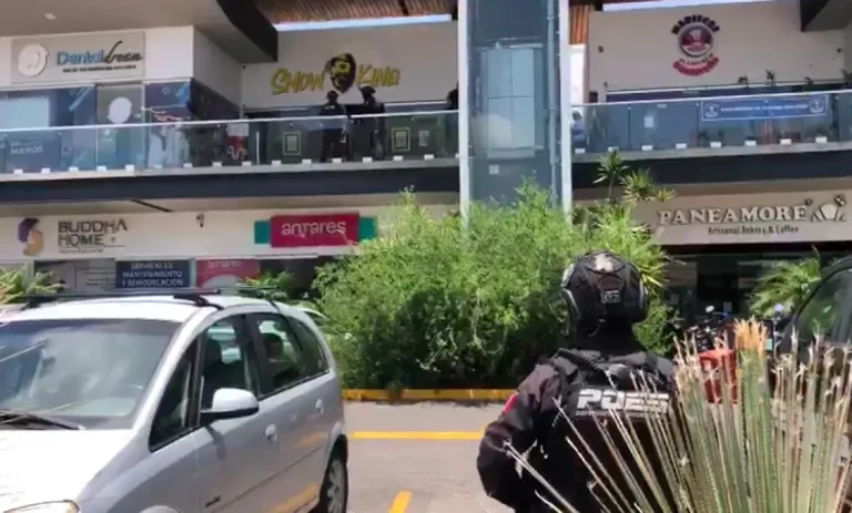 Tres cateos a Smoke shops en Milenio 3